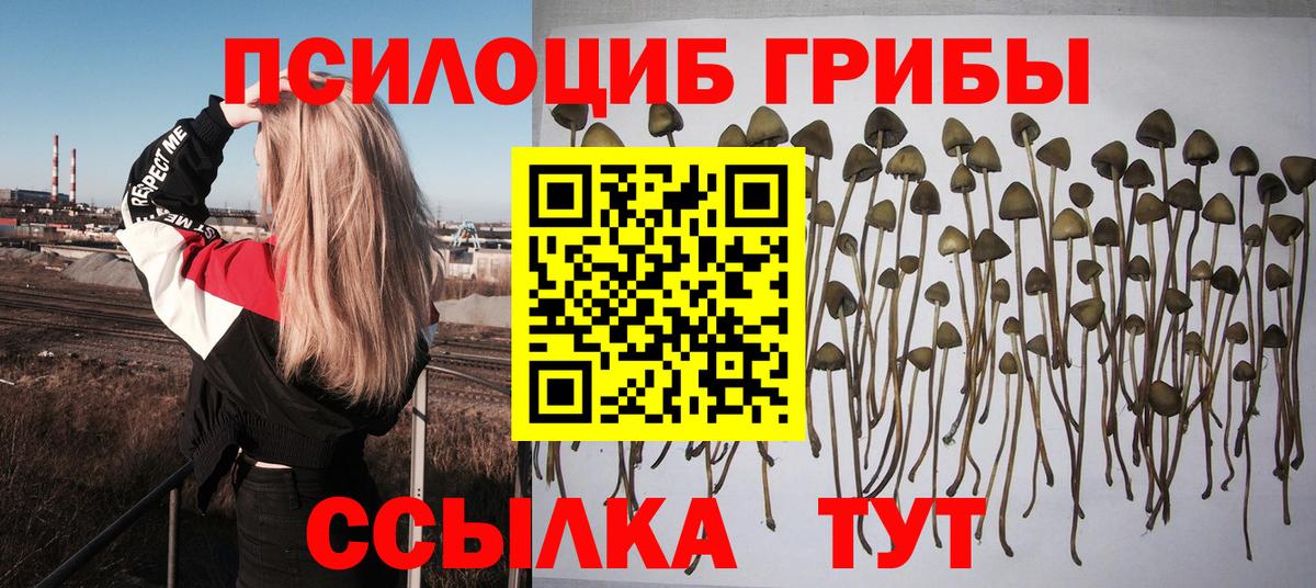 Псилоцибиновые грибы прущие грибы Прокопьевск